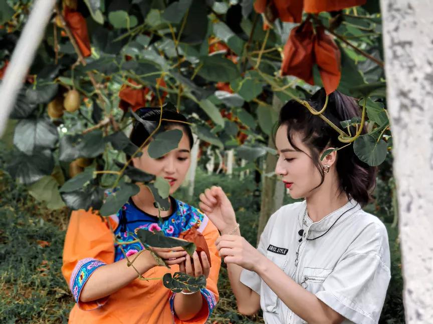 杭州炫豆網絡|一個“網紅村”的誕生：一群...